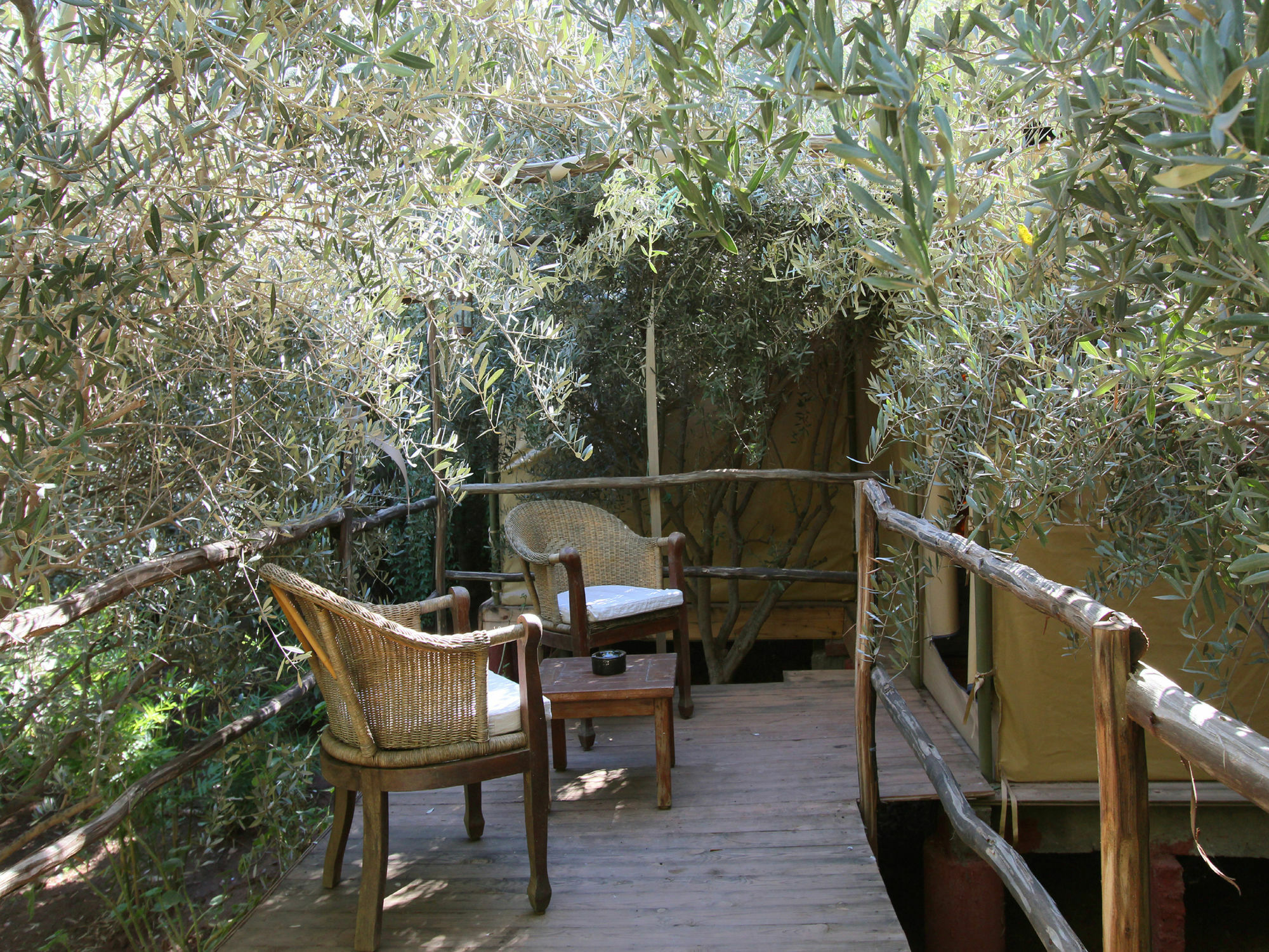 Le Jardin Touagana - Campement & Lodge Touggana Exteriör bild